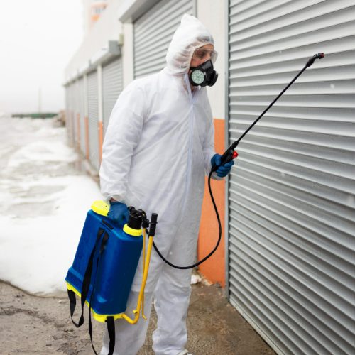 pest control services Malta fumigation cleaning Malta