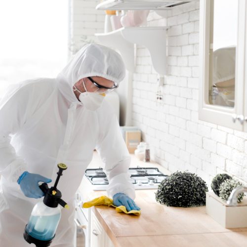 pest control services Malta fumigation cleaning Malta