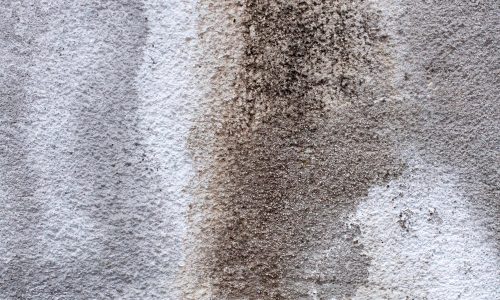 professional Stain Treatment​ sofa carpet cleaning malta staycare